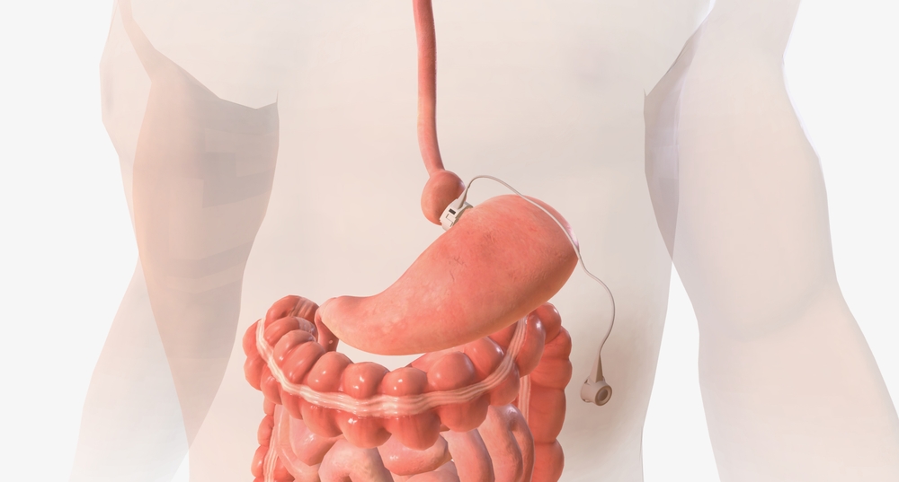 shutterstock 2312364843